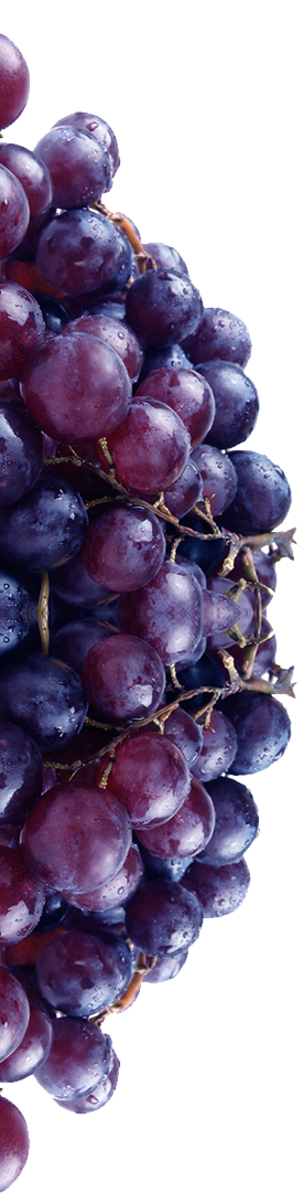 Grapes